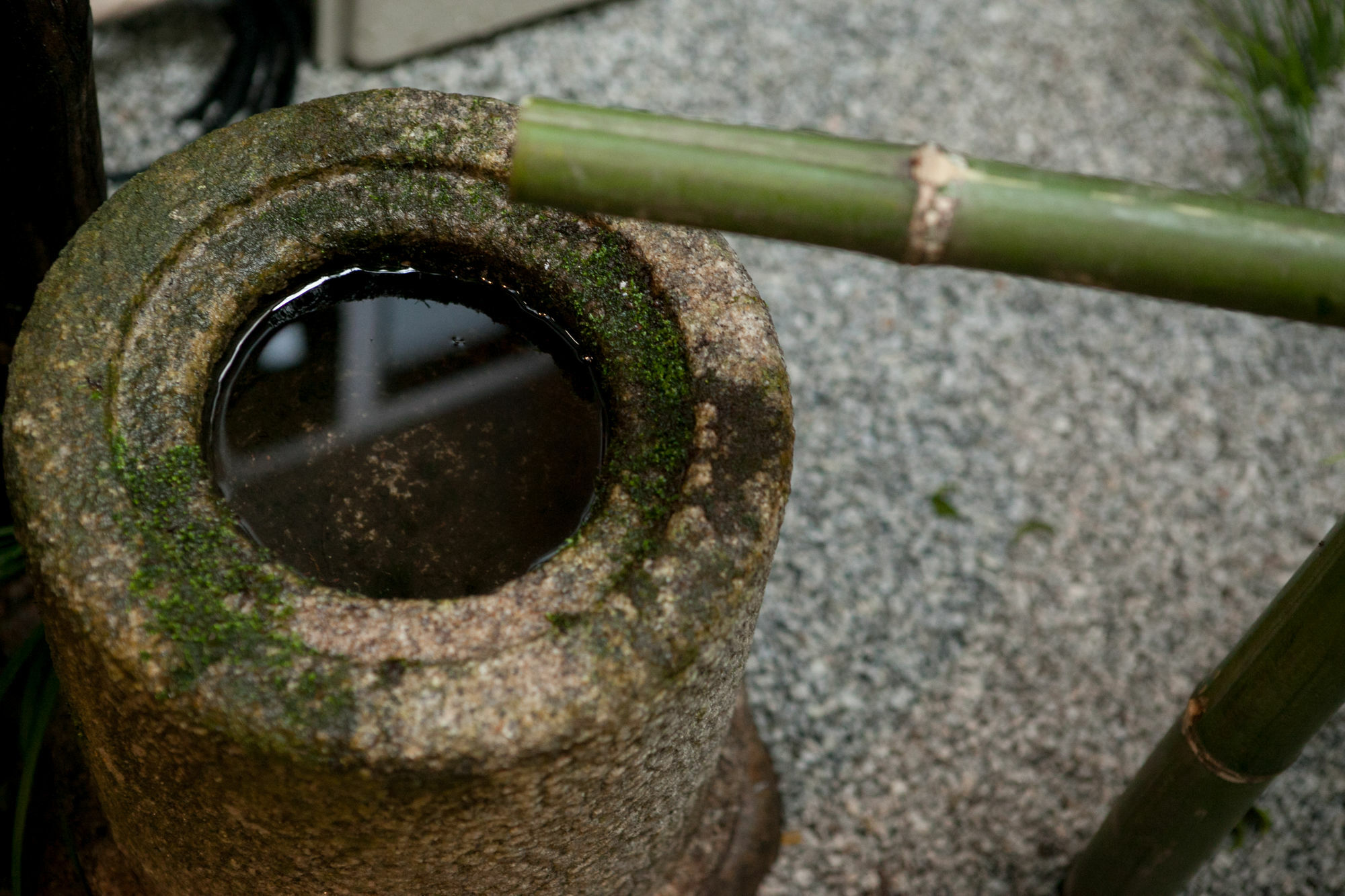 Rinn Kujokamogawa Kyoto Luaran gambar